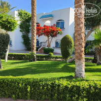 фото из отзыва ID 2346015