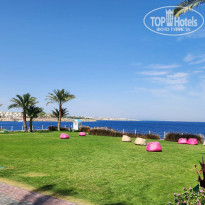 фото из отзыва ID 2346015