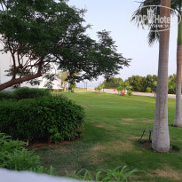 фото из отзыва ID 2346008