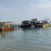 фото из отзыва ID 2344520