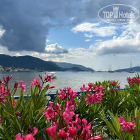 фото из отзыва ID 2350453