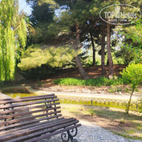 фото из отзыва ID 2350507