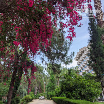 фото из отзыва ID 2350552