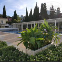 фото из отзыва ID 2350671