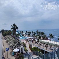 фото из отзыва ID 2350681