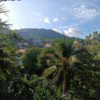 фото из отзыва ID 2350781