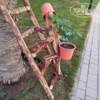 фото из отзыва ID 2350817