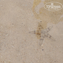 фото из отзыва ID 2350817