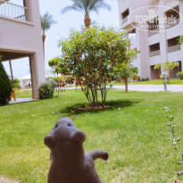 фото из отзыва ID 2350817