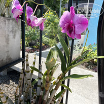 фото из отзыва ID 2350850