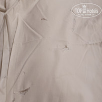 фото из отзыва ID 2351034