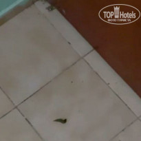 фото из отзыва ID 2351058