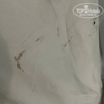 фото из отзыва ID 2351058