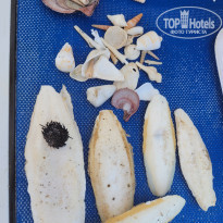 фото из отзыва ID 2351095