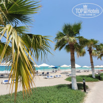 фото из отзыва ID 2351095