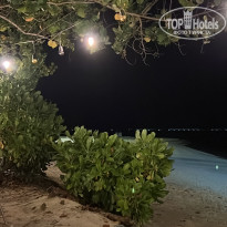 фото из отзыва ID 2351124