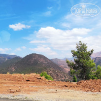 фото из отзыва ID 2351130