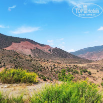 фото из отзыва ID 2351130