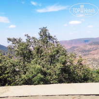 фото из отзыва ID 2351130