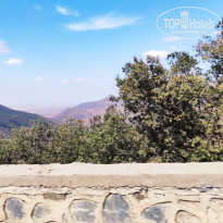 фото из отзыва ID 2351130