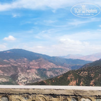 фото из отзыва ID 2351130