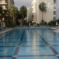 фото из отзыва ID 2351136