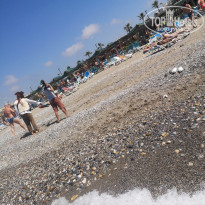 фото из отзыва ID 2351136