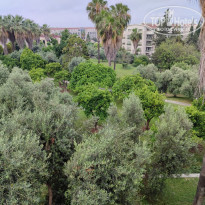 фото из отзыва ID 2351239