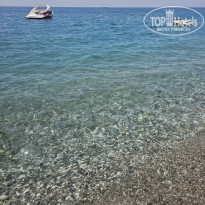 фото из отзыва ID 2351405