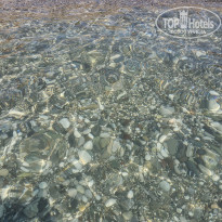 фото из отзыва ID 2351405