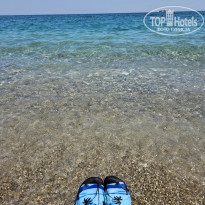 фото из отзыва ID 2351405