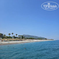 фото из отзыва ID 2351405