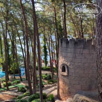 фото из отзыва ID 2351421