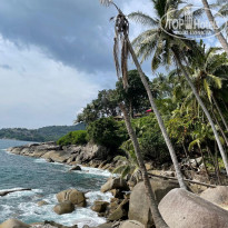 фото из отзыва ID 2351461