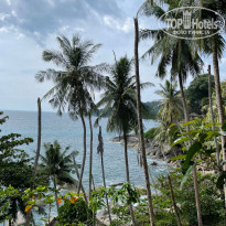 фото из отзыва ID 2351461