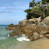 фото из отзыва ID 2351461