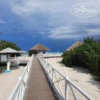 фото из отзыва ID 2351482