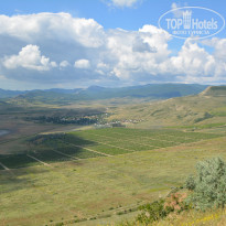 фото из отзыва ID 2351493