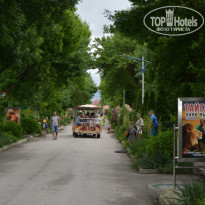 фото из отзыва ID 2351493