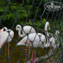 фото из отзыва ID 2351493