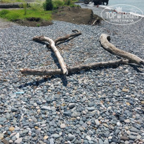 фото из отзыва ID 2351635