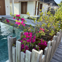 фото из отзыва ID 2351653