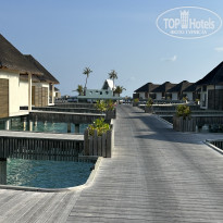 фото из отзыва ID 2351653