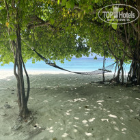 фото из отзыва ID 2351653