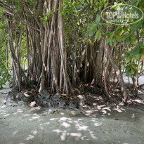 фото из отзыва ID 2351653