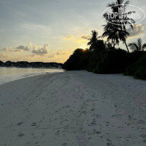 фото из отзыва ID 2351653