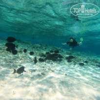 фото из отзыва ID 2351653