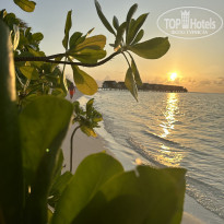 фото из отзыва ID 2351653