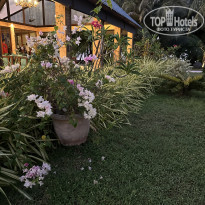 фото из отзыва ID 2351653