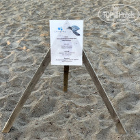 фото из отзыва ID 2351722